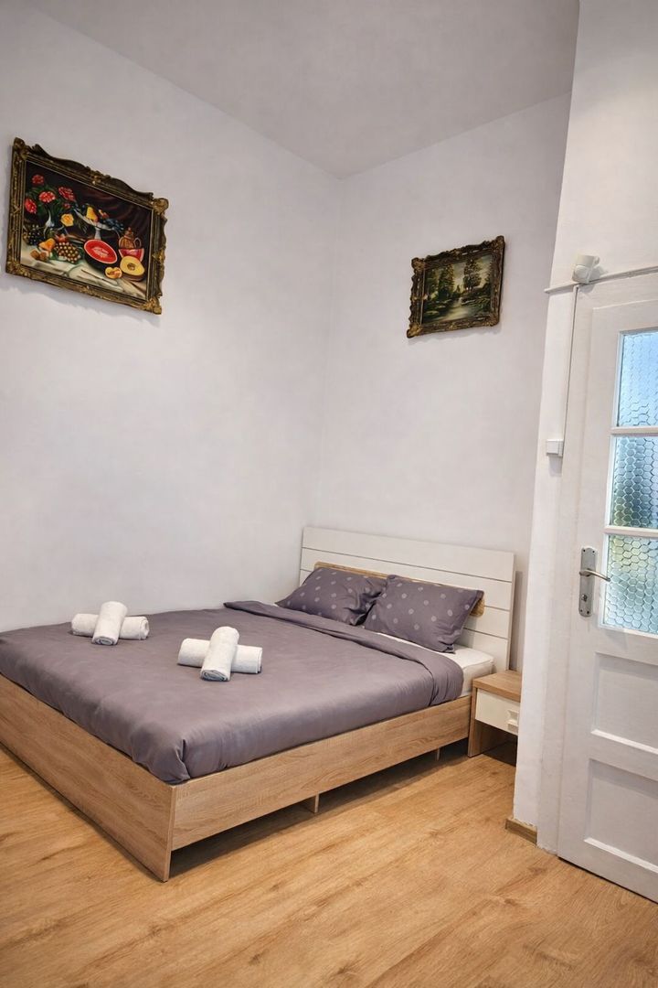 Apartament 1 Camera De Inchiriat | Ultracentral | Piata Unirii | UMF - Poză 2