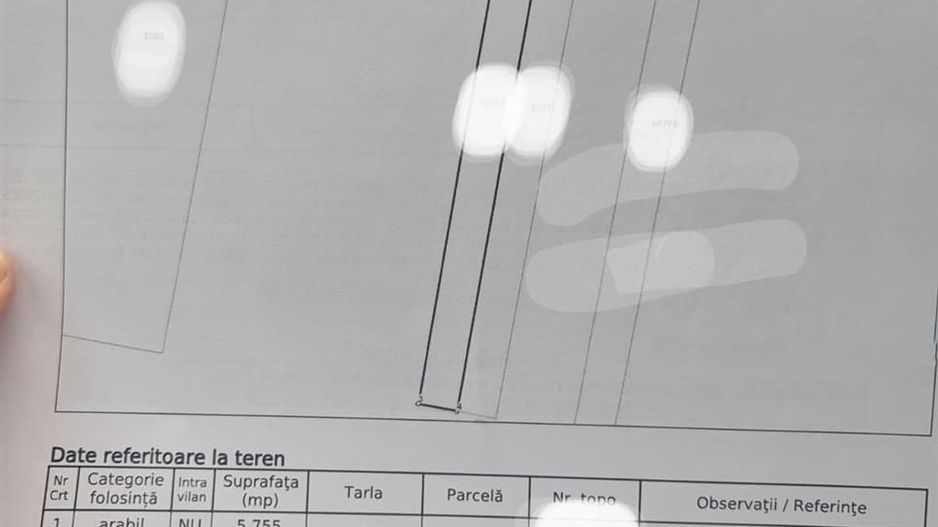 Teren extravilan Livada de Bihor - Poză 3