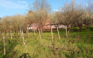 Teren de 2000 mp cu casă în Bucium Pietrarie, Iași – 3 camere, 2 băi, garaj - Poză 3