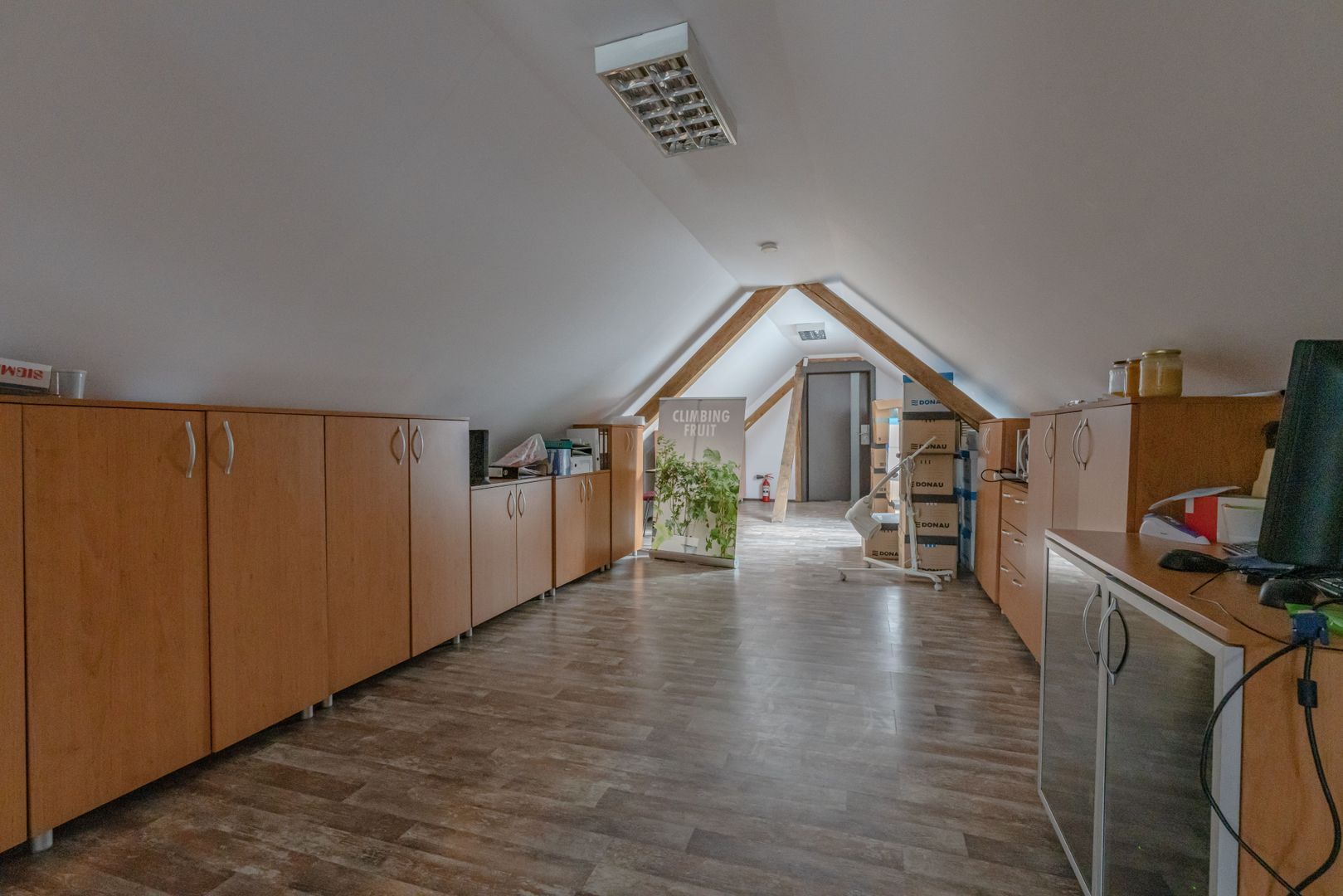 CASA BARTOLOMEU- sediu firma/ comercial/ servicii- zona circulata - Poză 8