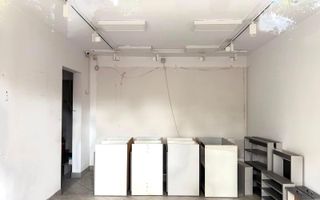 Spațiu comercial - str. Corneliu Coposu - Poză 2