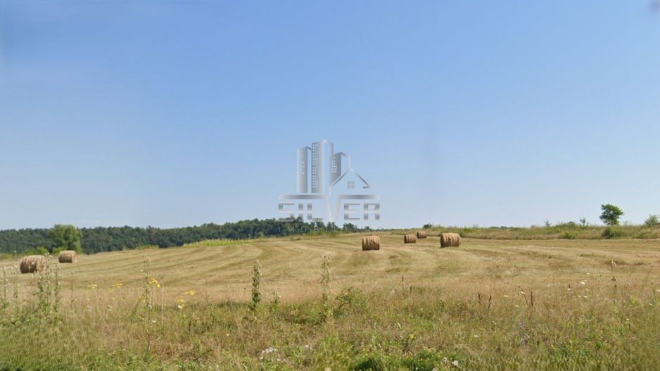 Teren intravilan in Topa Mica. - Poză 4