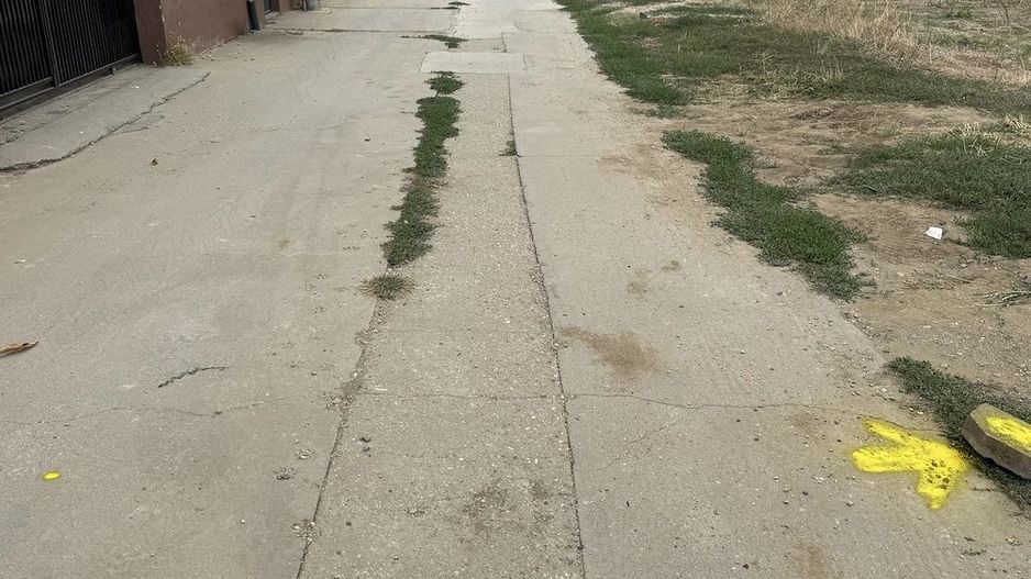 Teren de vânzare - Poză 4