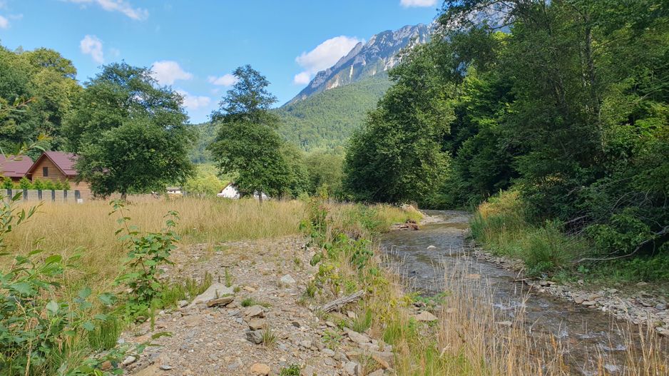 Superb!Zarnesti, Piatra Craiului, teren intravilan 1000mp, acces direct  la rau - Poză 4