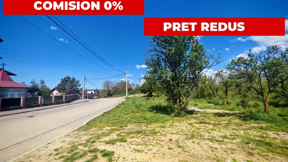 Teren central 2000 mp intravilan Mioveni - Poză 1