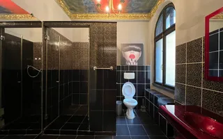 Vila - Piata Romana - inchiriere - Poză 15