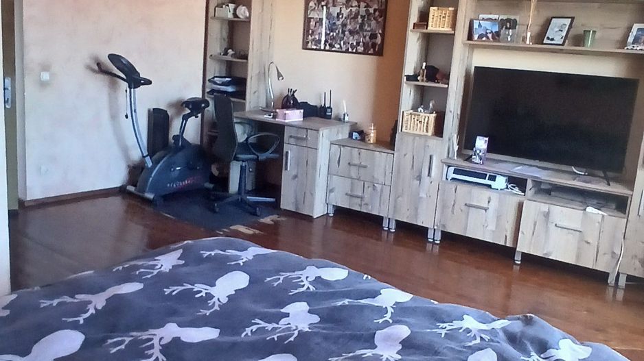 Casă individuală de vânzare în Șura Mare – ideală pentru 2-3 familii - Poză 7