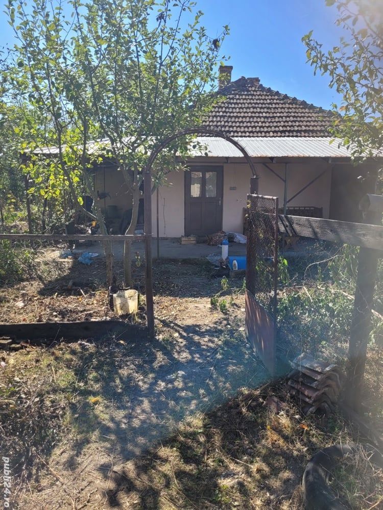 BRASADAS vinde casa in Moftinul Mare. - Poză 9