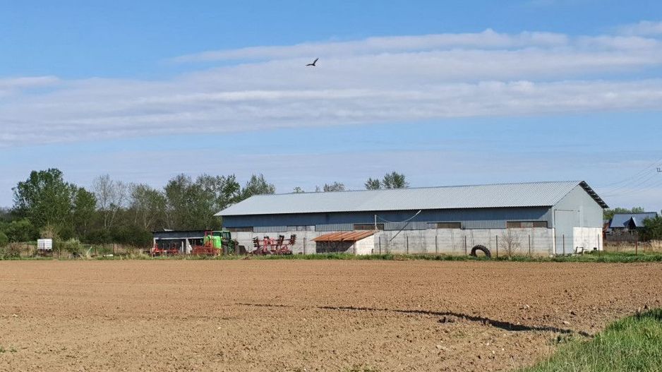 Hala de vanzare Costesti - Poză 10