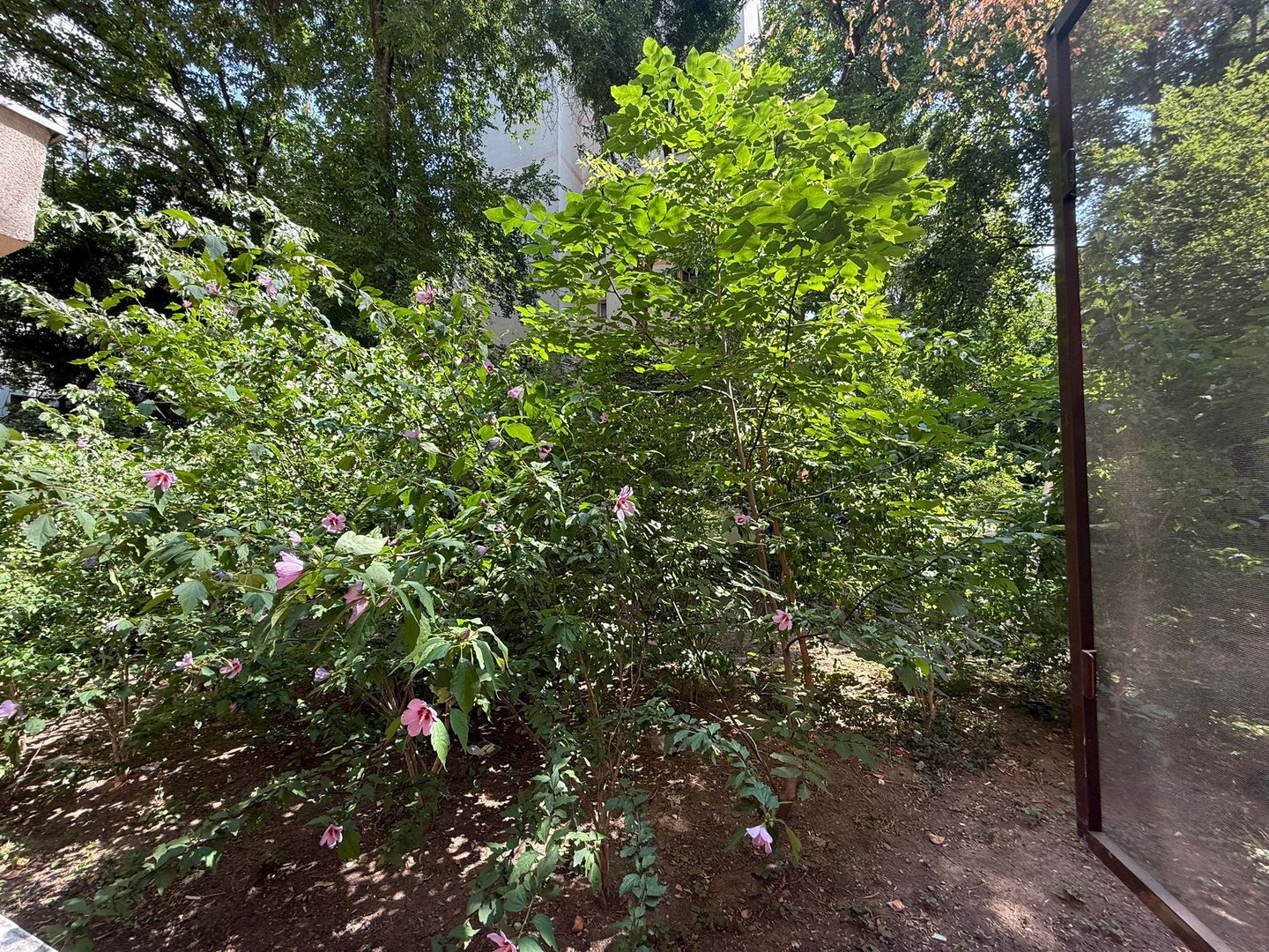 Apartament 2 Camere Teiul Doamnei Lacul Tei - Poză 3