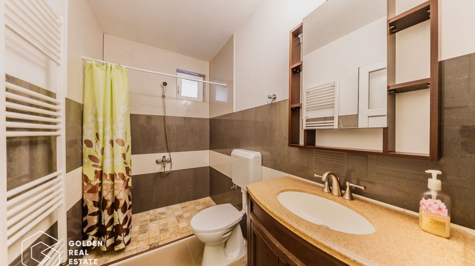 Proprietate pretabila pentru afacere, Cladova - Poză 25