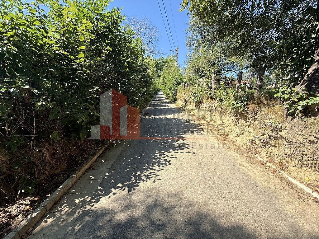 Teren 4558 mp cu casă tradițională, Sohodol, Bran - Poză 12