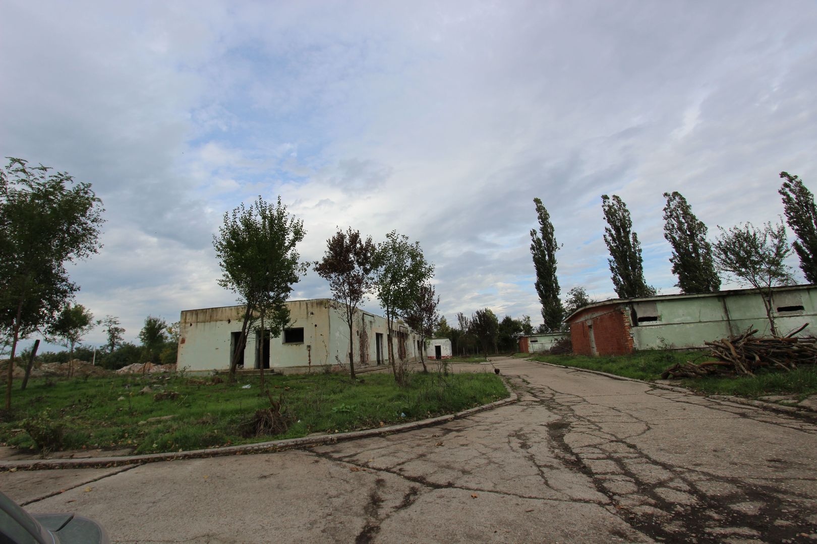 Vanzare hale Mosnita Noua-fosta Ferma 7 - Poză 8