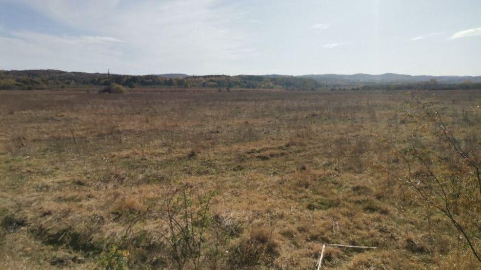 Vanzare teren arabil 22 Ha, plan, Arges, Moraresti - Poză 5