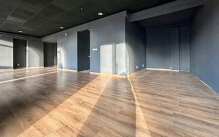 DELFINARIU (COD10) - Spatiu comercial de inchiriat - Poză 5