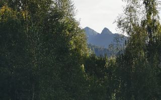 Teren Intravilan | 3300 Mp | Potential de Investitie | Utilitati in Apropiere - Poză 1