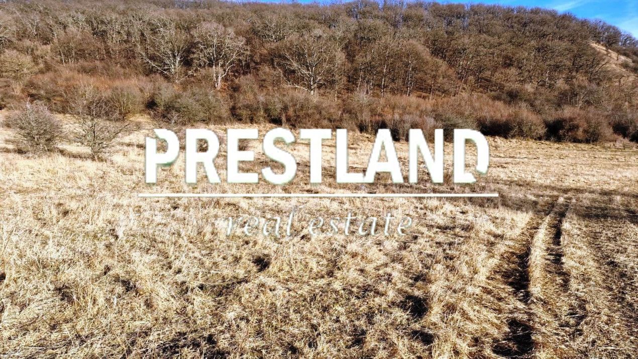 Teren 46.300 mp-zona Gușterița!! - Poză 2