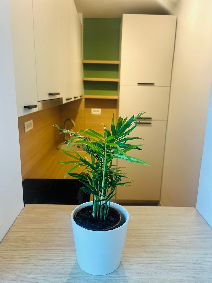 Apartament modern I Design nordic și confort I Zona Tipografilor - Poză 5