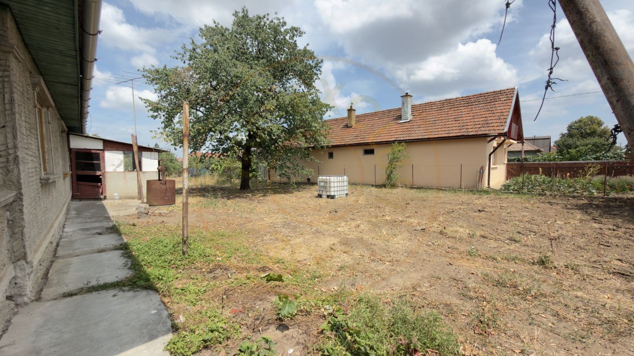 Casă 3 camere, Teren 1036 mp Front 22 m - Str. Florilor 46 - Carei - Poză 16