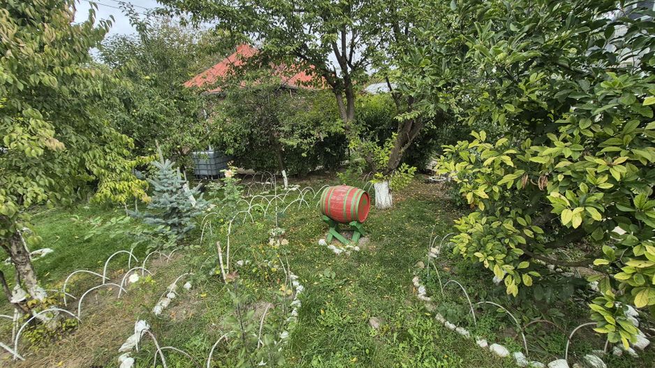 Vila 4 camere + teren 818 mp central Provita de Sus (lângă școală) - Poză 55