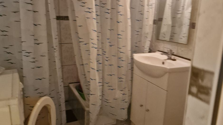 Vanzare Casa Individuala Rahova - Sos. Magurele - Poză 7