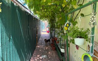 Oferta - Casa cu 4 camere la buget de apartament - Poză 2