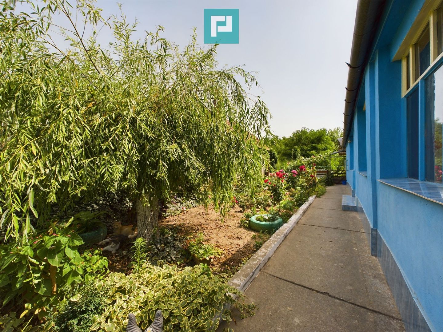 Casă cu 3 camere în Periam Port județ Timiș - Poză 21