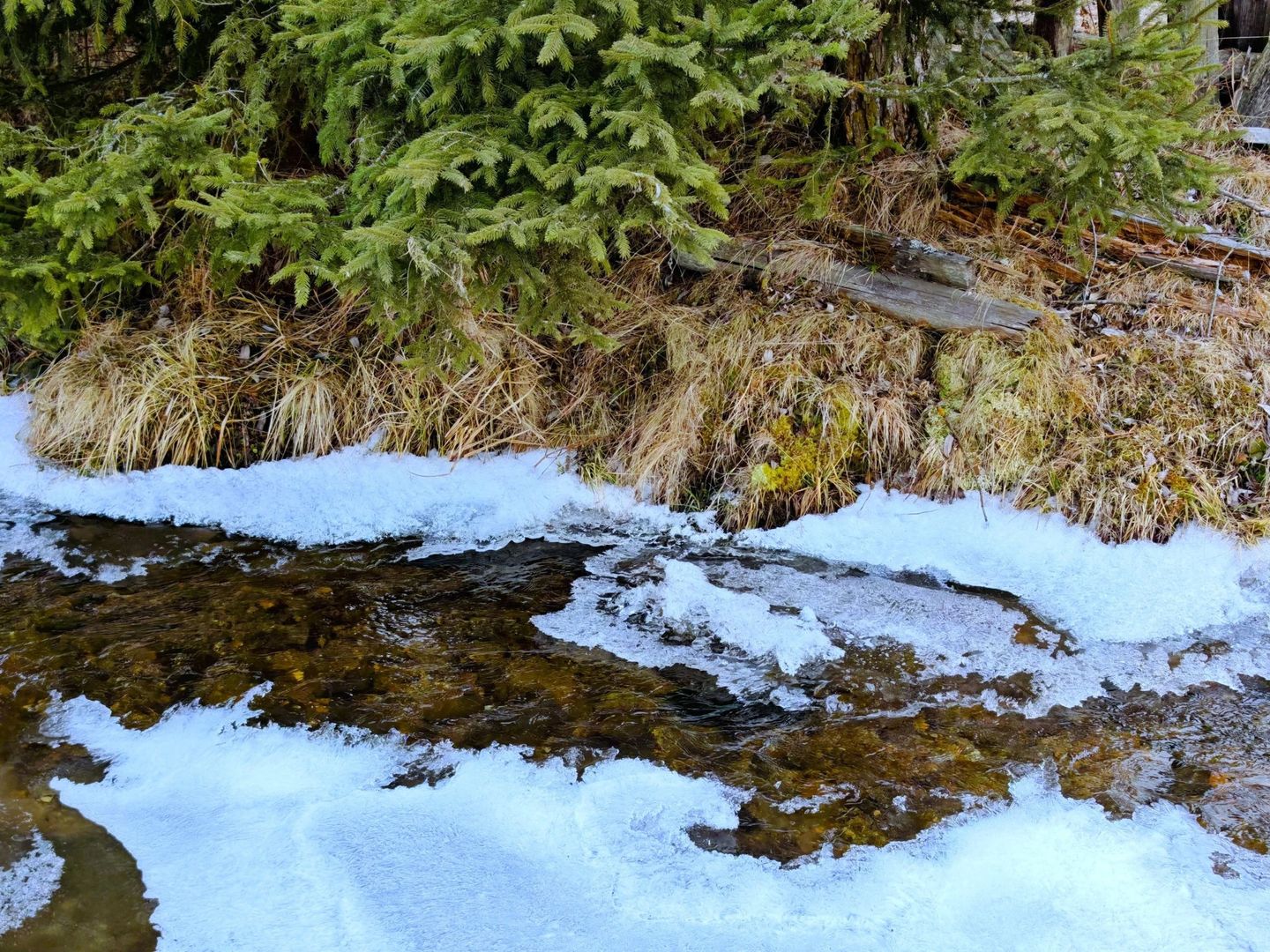 8.263 mp Teren cu Pârâu și Izvoare în Beliș-Fântânele, Cluj - Poză 9