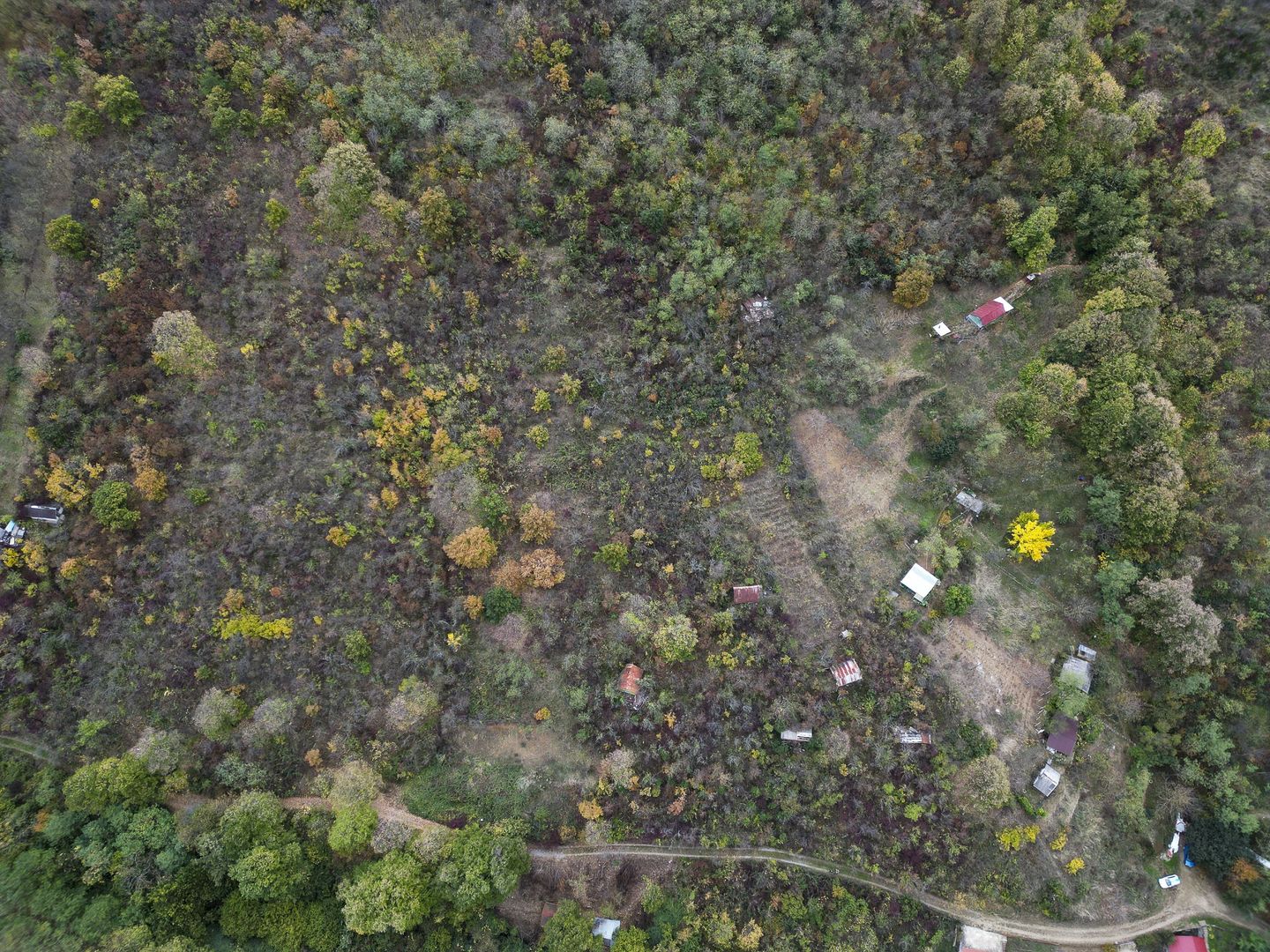 Teren 18,300mp Ghioroc - Poză 15