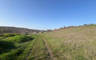 Teren pentru grădină / investiție – 14,86 ari în Ghidighici, zonă liniștită și ecologică - Poză 2