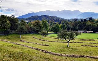 Teren superb de 16240mp, parcelabil, in Bran la intrare in Moeciu de Jos - Poză 6