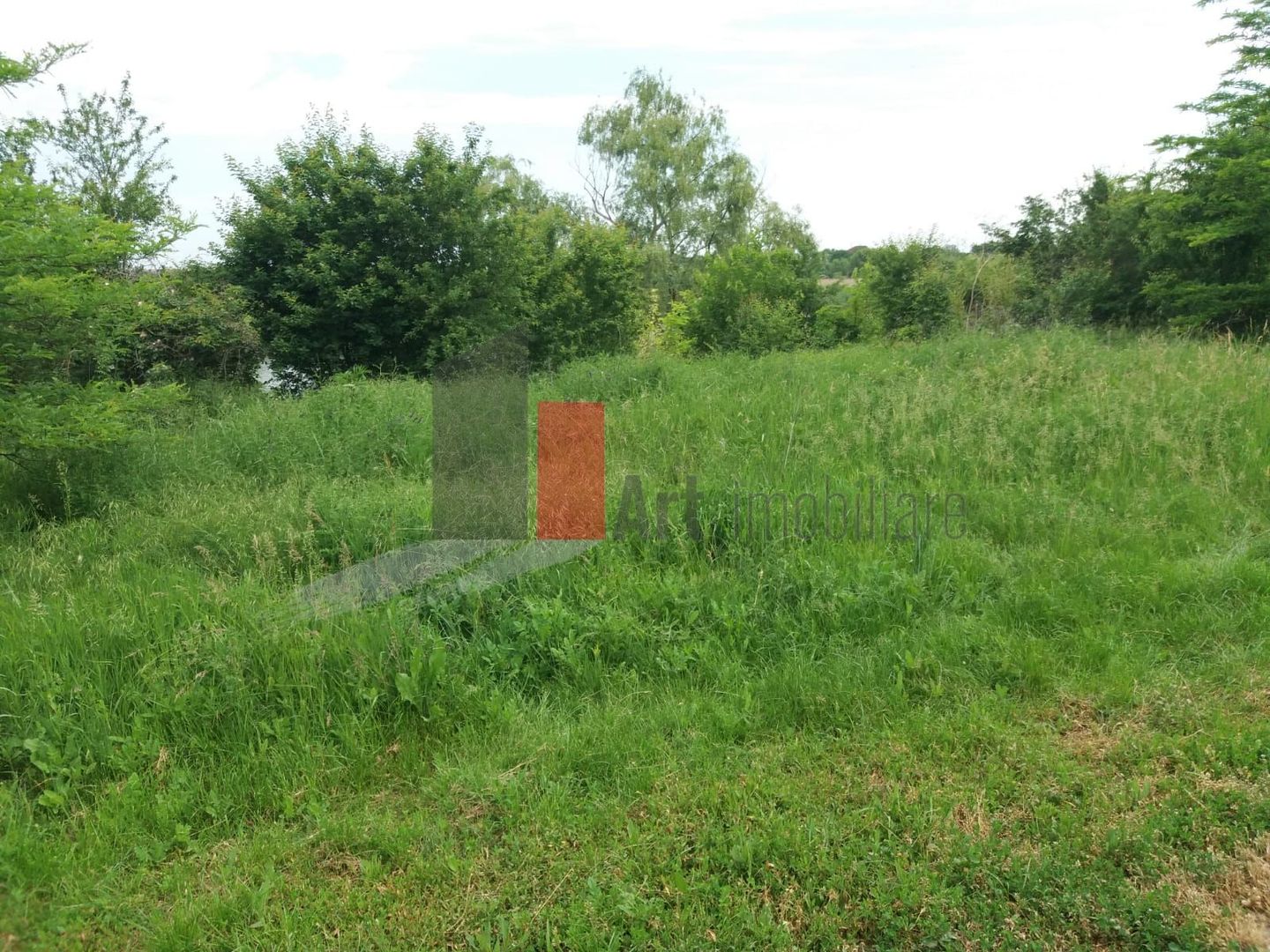 Teren Buftea cu iesire la lac - Poză 7