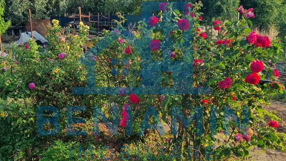 Teren 709mp utilitati asfalt Livezi, Podari, la 7,5 km de Craiova - Poză 2