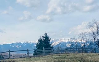 Teren Bran /Balaban - Poză 8