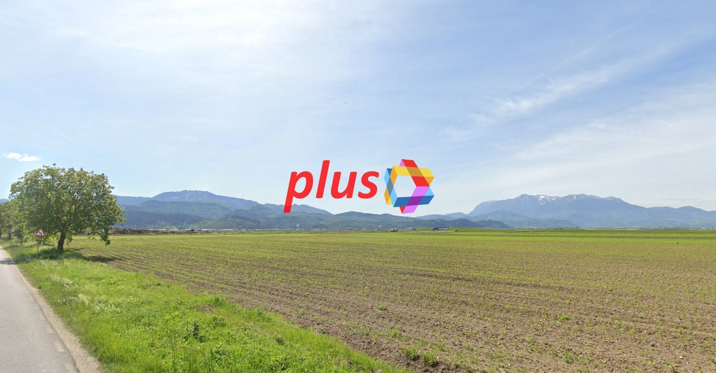 Loturi de teren 500mp - Poză 4