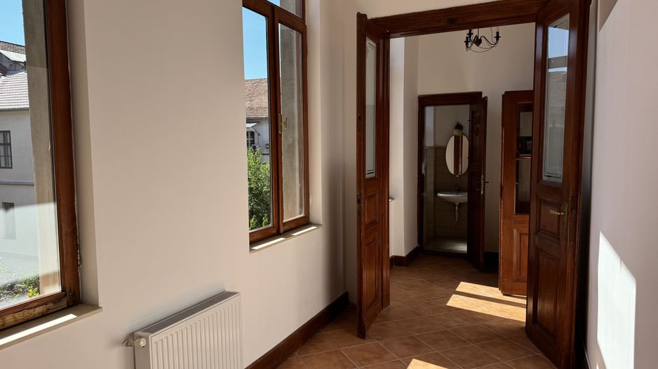 Apartament in clădire istorică P-ta Plevnei cu vedere parc - Poză 11