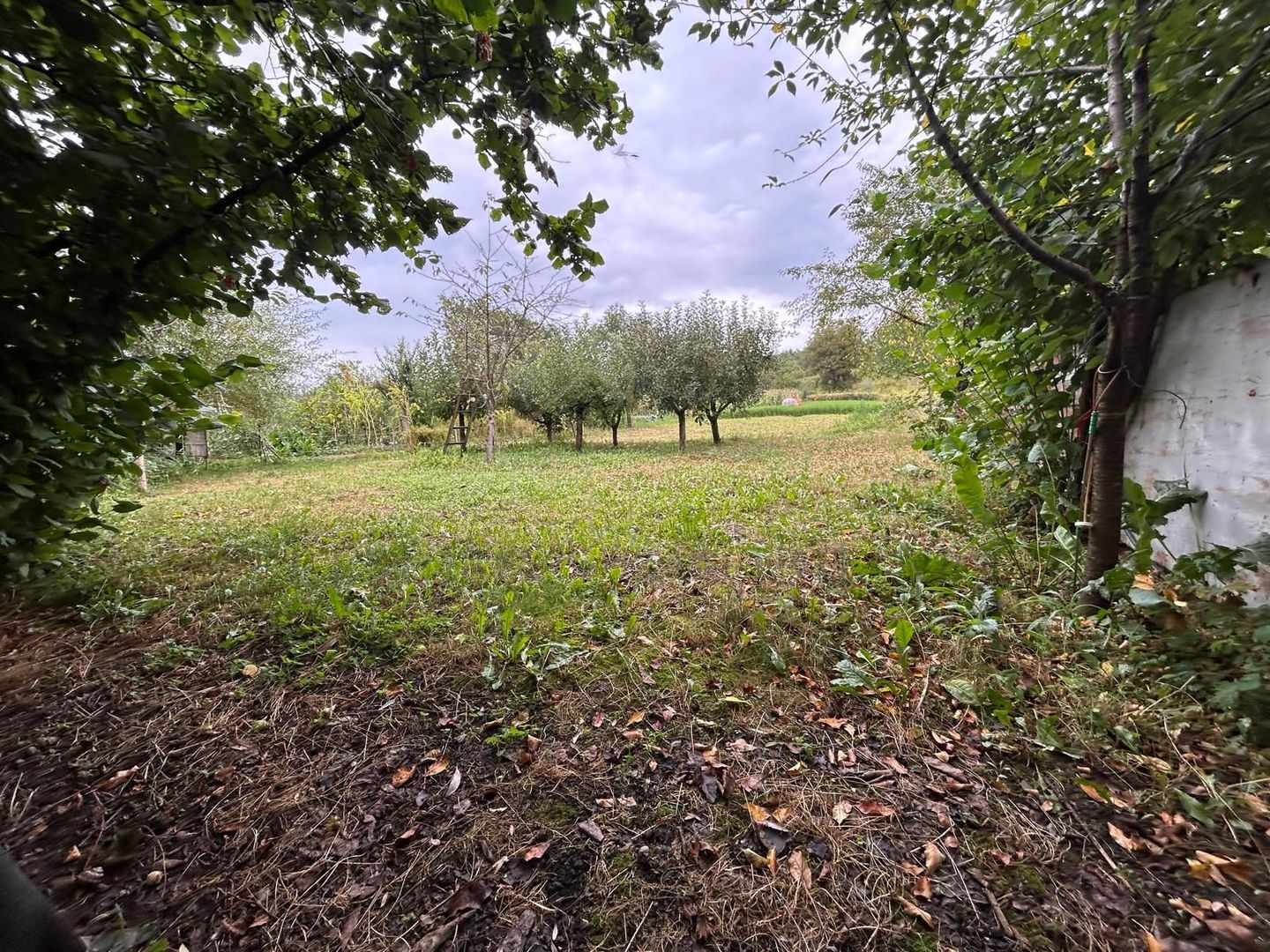 Proprietate de vânzare | 15 km de Onești, DN11 – direcția Bacău - Poză 14