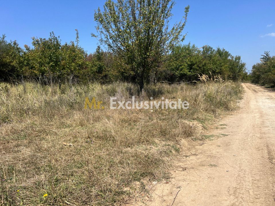 Teren intravilan 5744 mp Mosoaia-Prunilor - Poză 1