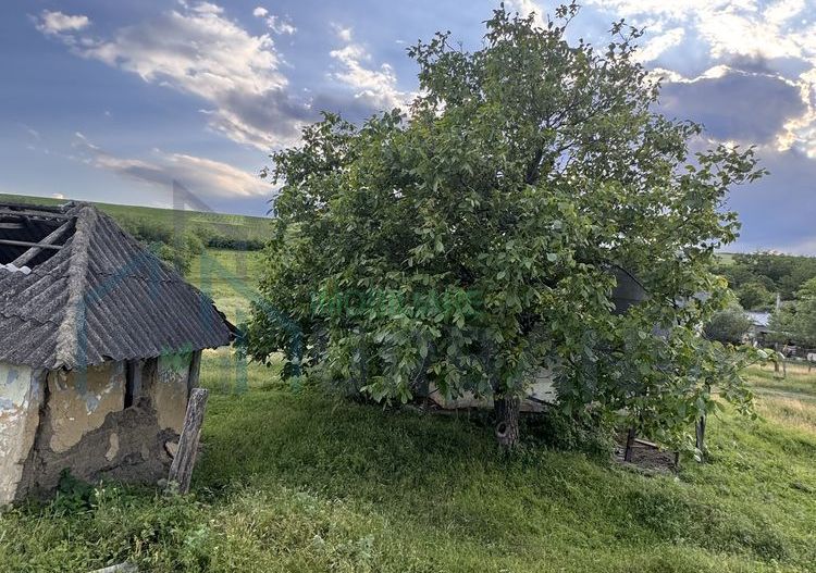 Teren intravilan de 6000 mp in Coarnele Caprei, Valea Babei, cu iesire la strada principala - Poză 4