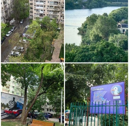 Garsoniera modernă CF 1 - Delfinului - Poză 16