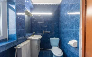 Vânzare, Vilă, 7 camere, zona Parcul Carol - Poză 17