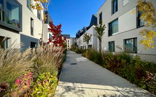 Vila 6 camere / Townhouse Avalon Estate - Poză 36