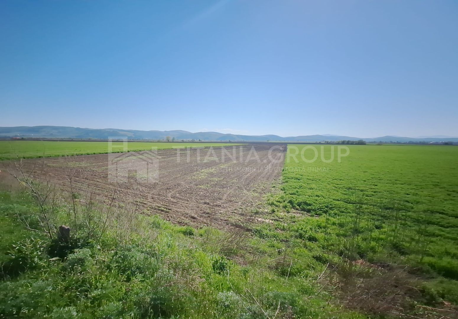 Teren extravilan, 8700 mp, pretabil agricultură sau investiție - Bod - Poză 8
