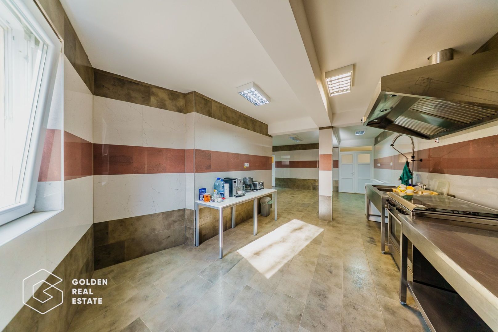 Proprietate pretabila pentru afacere, Cladova - Poză 23