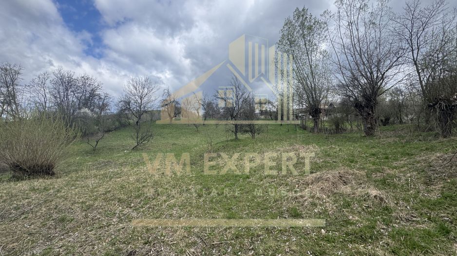 TEREN INTRAVILAN 4365 MP POENARII DE MUȘCEL  JUDEȚUL ARGES - Poză 2