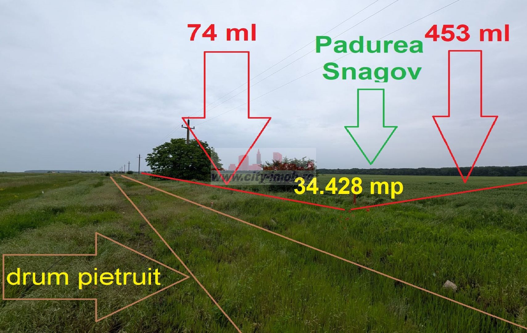 Vanzare Teren - intravilan - Snagov Ghermanesti - Poză 3