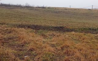 # - teren intravilan 820mp Proselnici - Poză 3