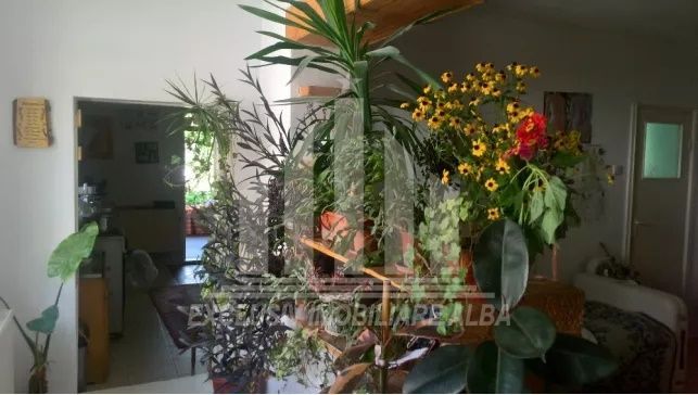 Casa individuala de vanzare, Cetate - Poză 2