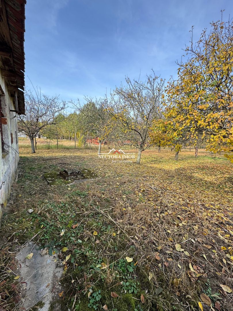 NECTORA IMOB-Teren cu livada matura+Anexa racordata la trifazic,9162mp - Poză 3