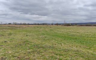 Teren extravilan I 2400 mp I Arabil I Teren drept I Cristian - Poză 3